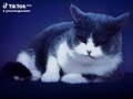 Keira Lhotan ☝️🕋🚪🙏🤔 I have to get out of this hell hole 🔥🕳️ you're my only way out 🆒👍No One Else