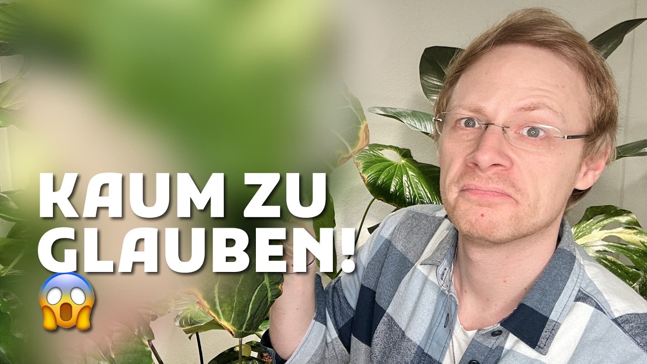 DAS ist aus meinen neuen Pflanzen geworden! 😱🌿 (Ecuagenera, Bauhaus & mehr!)