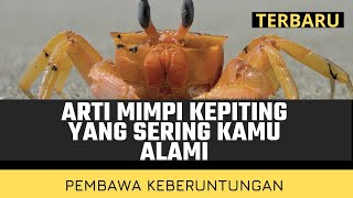 Pembawa Keberuntungan !! Arti Mimpi Kepiting Yang Sering kamu Alami