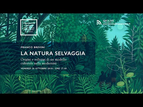 Video: La natura selvaggia è una vera parola?