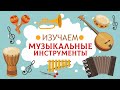 Музыкальные инструменты Карточки Домана