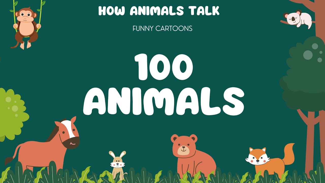 How animals talk. Learn animals. English Educational Video. - YouTube
