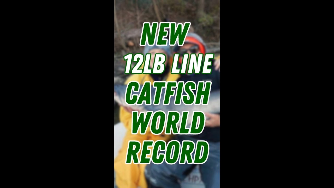 12lbs Line Record Catfish!