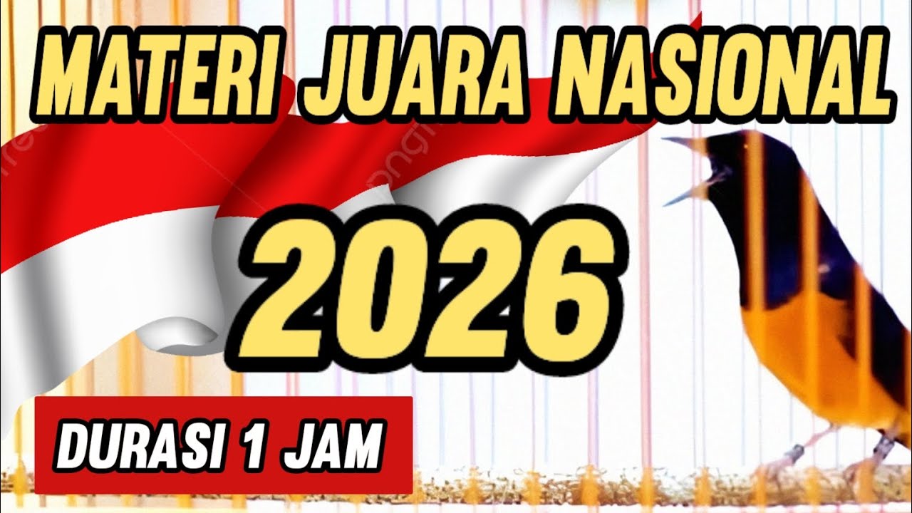 Masteran Murai Batu Materi Juara Nasional 2026 || Gacornya Kesetanan #MuraiJuaranasional