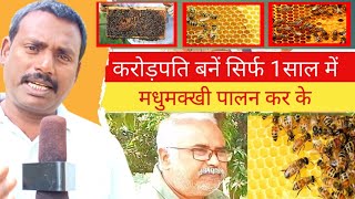 करोड़पति बने सिर्फ 1 साल में मधुमक्खी पालन करके /Become a millionaire by keeping bee in just 1 year