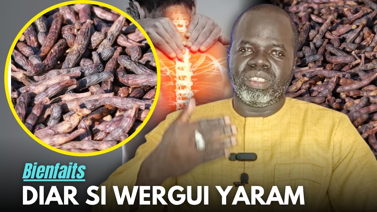 Ndiarignou Diar ( Baies de Selim ou Poivre de Guinée ) - Pr Ousmane Ndiaye - SAMA XALAAT TV