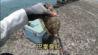 2026-8-1 整群小臭臭之下還躲著大臭臭#滿點生技#外礁磯#白磯奴#磯釣