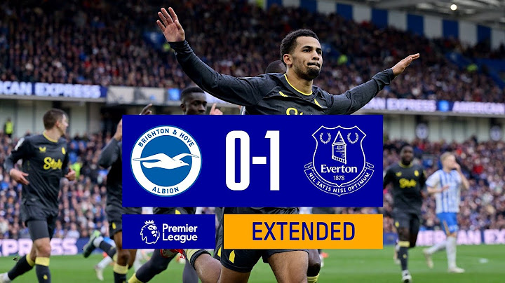 EXTENDED HIGHLIGHTS: Brighton 0-1 Everton