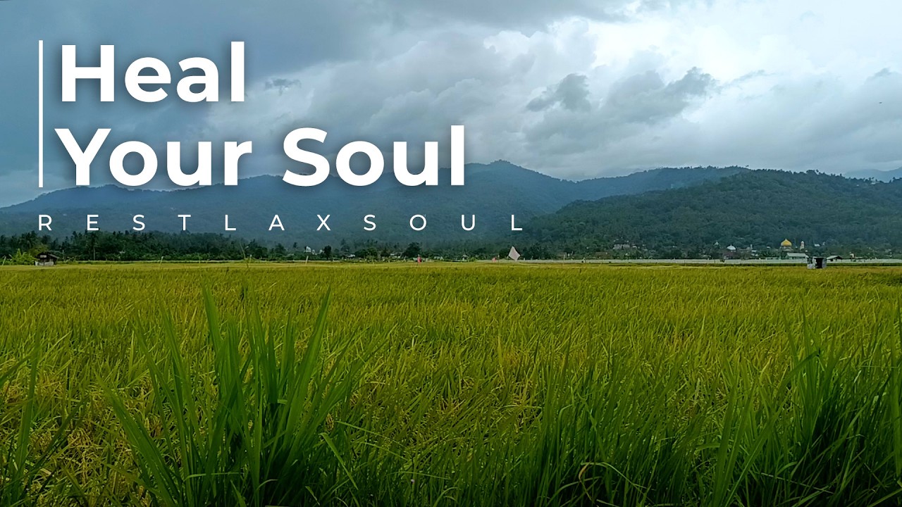 Healing Meditation Music to Heal Your Soul