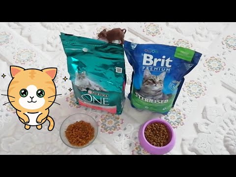 Video: Muhtemel Salmonella Kontaminasyonu Nedeniyle Geri Çağrılan Purina ONE Kuru Kedi Maması Torbaları