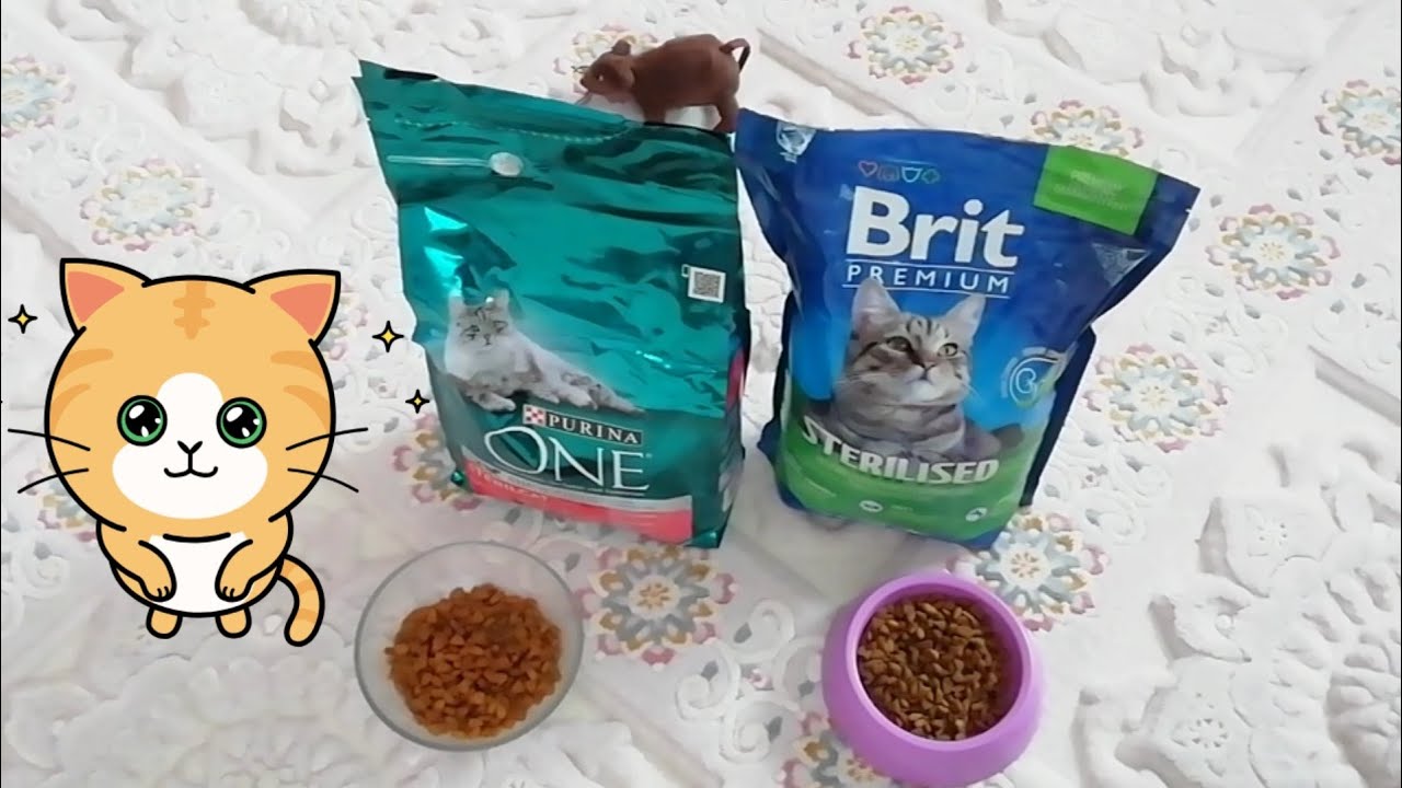 Onlar Gosteri Kitle Purina Kedi Mamasi Yavru Hydrogeo Org