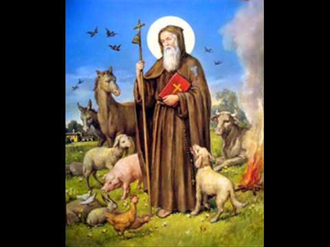 canti per sant 39 antonio abate in umbria e abruzzo ecco il ForArredo Bimbo Sant Antonio Abate canti per sant 39 antonio abate in umbria e abruzzo ecco il ForArredo Bimbo Sant Antonio Abate