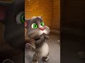 القط توم المتكلم