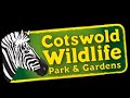 Cotswold wildlife park 2024