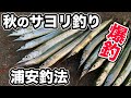 秋のサヨリ釣り  浦安釣法で爆釣‼️【小物釣り  東京湾奥】