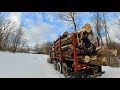 BUYING Firewood Logs? When we have a 100 Acre Woods? Here's Why #1015