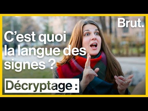 Vidéo: Qu'est-ce Que La Langue Des Signes