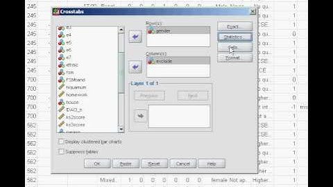 Chi-Square analysis on SPSS