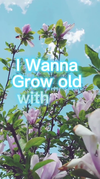 I Wanna Grow Old with You - Westlife #shortvideo #motivation #empowerment #westlife #shorts