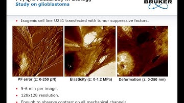 AFM | Nanomechanical Measurements on Biological Samples | Bruker