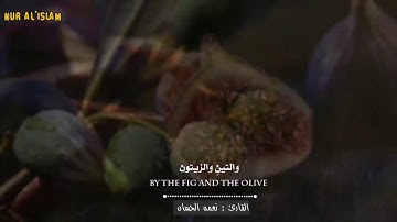 سورة التين 🎙️ القارئ الشيخ نعمه الحسان|حالات واتس اب دينيه عراقية