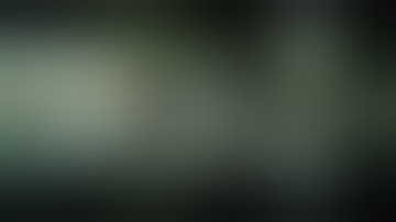 ネムリユスリカ予告