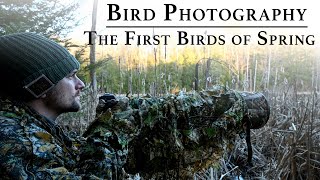 Bird Photography: The First Birds of Spring | Nikon Z9