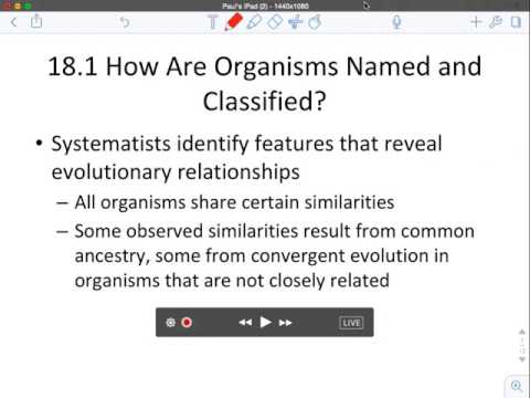 Systematics Screencast 1: Naming and Classifying Organisms