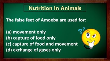 NCERT/CBSE : Class 7 Science | Chapter 2 - Nutrition In Animals MCQ with answers|Science Ch: 2 MCQ