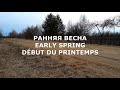 Ранняя весна | Early spring