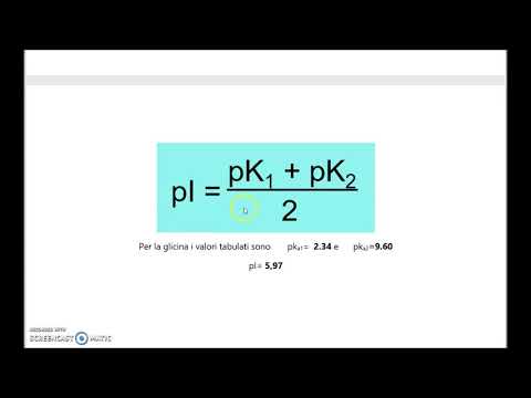 Video: Effetto Di Un Peptide Di Kokumi, γ-glutamil-valil-glicina, Sulle Caratteristiche Sensoriali Del Consommé Di Pollo