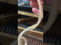 Ocean Calling demo 2 securing horsehair strands for bowed piano