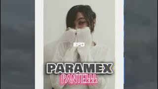 PARAMEX - PVNTEkk ( FANDHO RMXR )