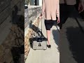 Effortless Style: Gray &amp; Black Rolling Laptop Bag | Stylish Weekender and Chic Briefcase for Women