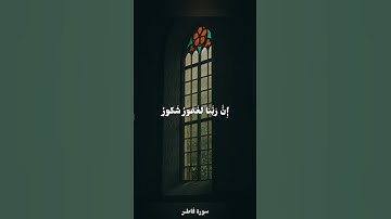 ﴿وقالوا الحمد لله الذي أذهب عنا الحزن إن ربنا لغفور شكور﴾❤️ | ناصر القطامي - سورة فاطر