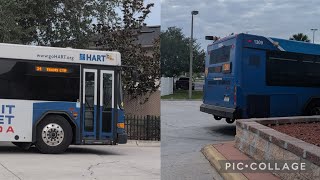 Hart bus #1309 on Route 34 arriving at Netpark Transfer Center 