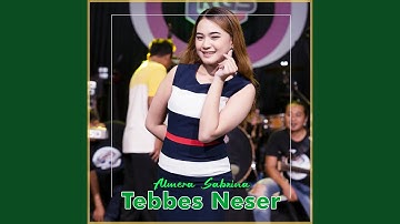 Tebbes Neser