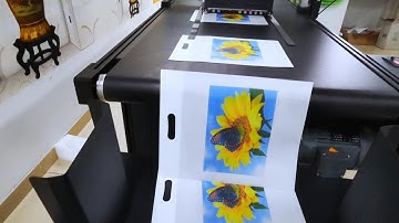 Non woven bags printing solution | Single Pass Digital Printer