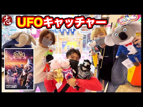 【UFOキャッチャー】いくらかかる？シングネクストステージのぬいぐるみ全部取るためにかかる金額は・・・