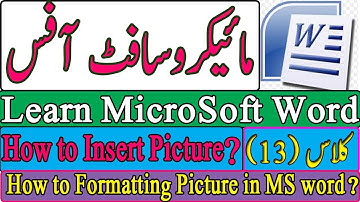 How to Insert Picture and Formatting in MS word in Urdu and Hindi.