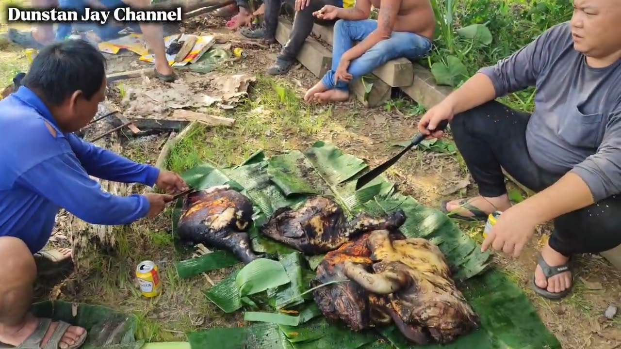 Ngintu Babi Gerempung Rumah Duri Nanga Lait Tinjar 