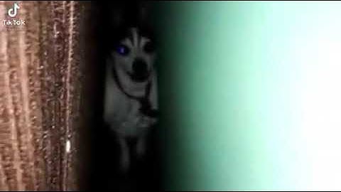 El espíritu: Hola Juan Carlos...