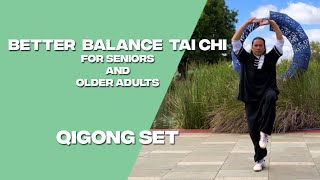 Better Balance Tai Chi (for Seniors and Older Adults) - Qigong Set screenshot 4