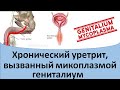 Хронический уретрит, вызванный микоплазмой гениталиум