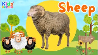 Sheep for Kids | Fun Sheep Facts | All About Sheep | Farm Animals for Kids