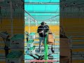 Innovative Greenhouse Crop Rotation System Technology : Best Precision Yield Optimization