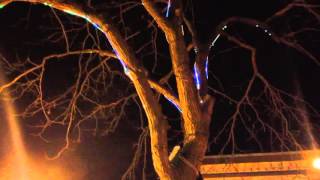 Kamloops Makerspace Light Up Tree
