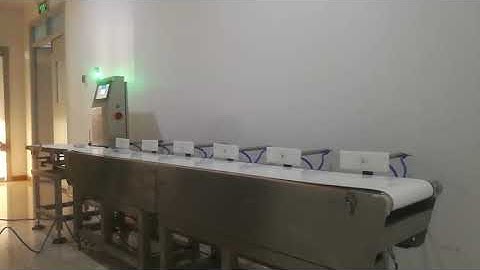 Multi weight sorting machine 6 levels sorting