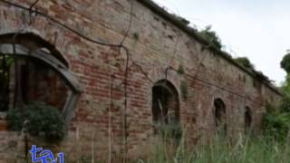 VENEZIA: NASCE IL PARCO DELLA LAGUNA