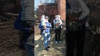Ферма вухаті вівці#ферма#вівці